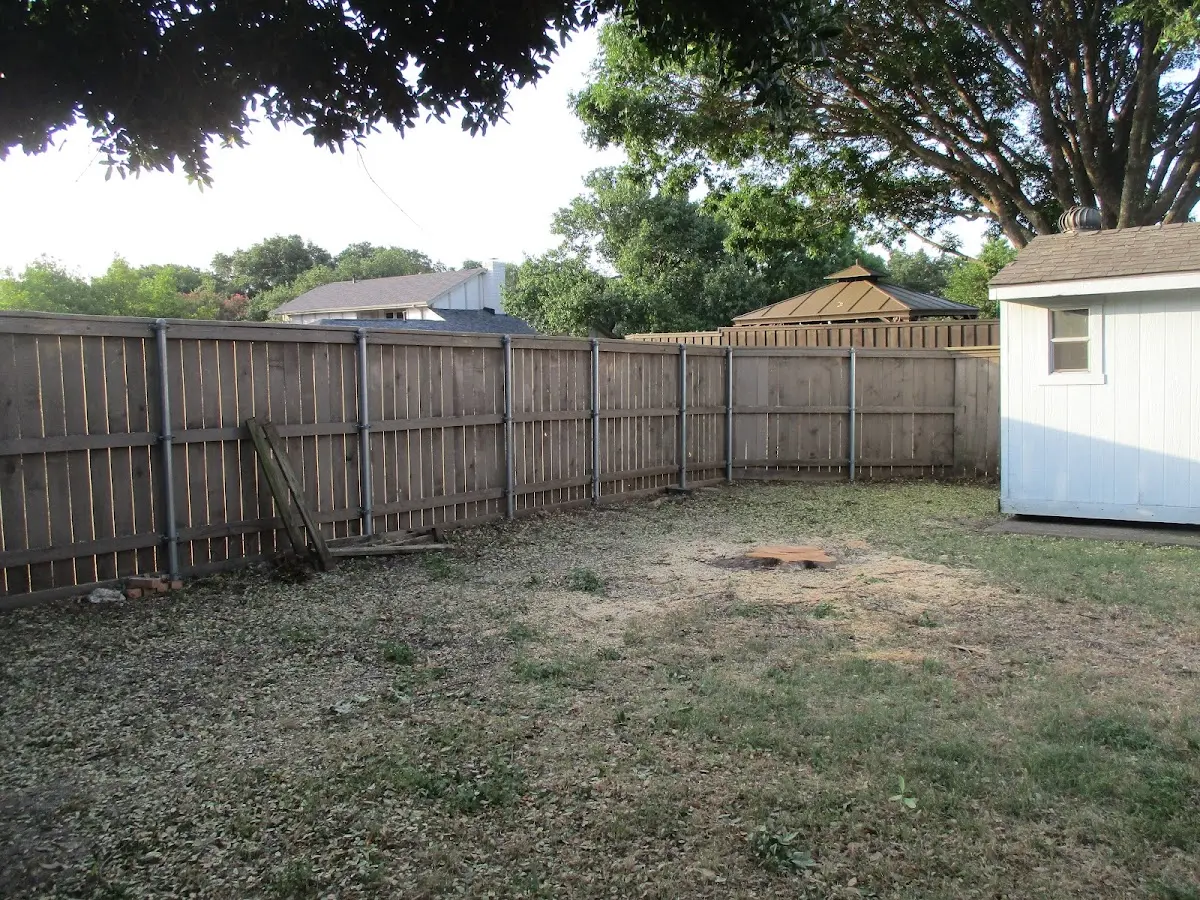 Cleared yard after professional tree removal in Lineville