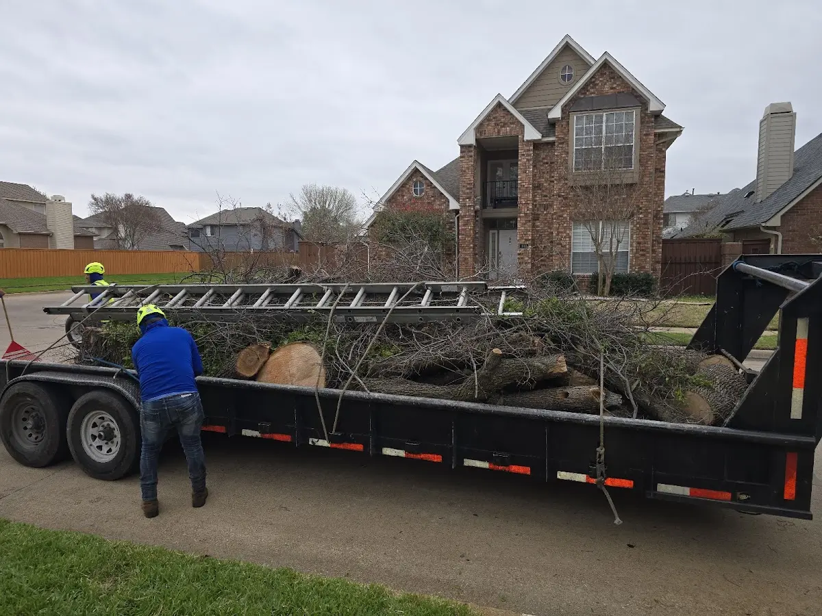 Expert Tree Fertilization with proper safety equipment in Lineville